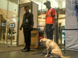 Sisir Mal Kokas, Polisi Pastikan Tak Ada Benda Mencurigakan