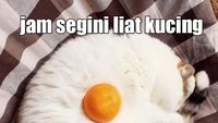 Meme Kocak Puasa Bikin Ngakak, Pas untuk Ngabuburit Hari Pertama