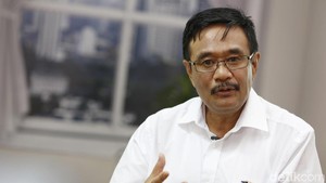 PDIP Ibaratkan Pilgub Sumut Semut Vs Gajah: Semutnya Edy Rahmayadi, Nikson