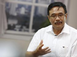 PDIP Ibaratkan Pilgub Sumut Semut Vs Gajah: Semutnya Edy Rahmayadi, Nikson