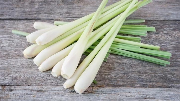 Foto: iStock