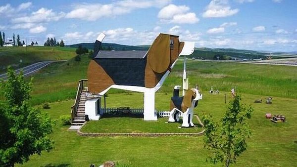 Guk Guk! Hotel Ini Berbentuk Anjing