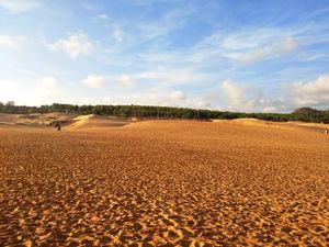 Percaya Nggak? Ada Padang Pasir Secantik Ini di Vietnam