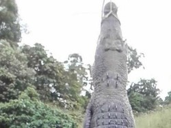 Otoritas Queensland Selidiki Foto Pria dengan Bangkai Buaya 4 Meter