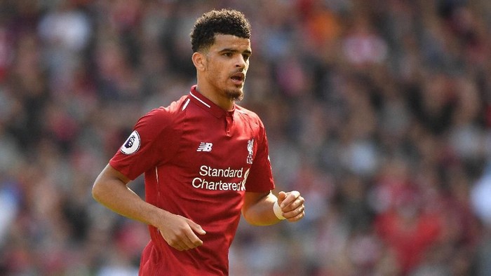 LIVERPOOL, ENGLAND - MAY 13:  Dominic Solanke of Liverpool in action during the Premier League match between Liverpool and Brighton and Hove Albion at Anfield on May 13, 2018 in Liverpool, England.  (Photo by Michael Regan/Getty Images)