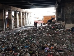 Pembersihan di Kolong Tol Priok Disetop, Sampah Masih Bertebaran
