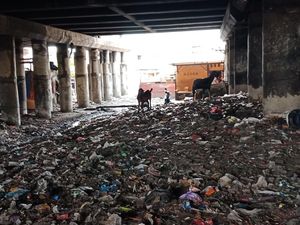 Pembersihan di Kolong Tol Priok Disetop, Sampah Masih Bertebaran Pembersihan di Kolong Tol Priok Disetop, Sampah Masih Bertebaran