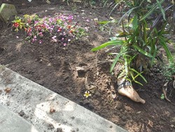 Temuan Mayat dengan Kaki Nongol di Permukaan yang Gegerkan Kediri