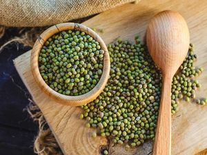 Nutrisi Apa yang Bisa Didapat dari Sari Kacang Hijau? Ini Kata Ahli Nutrisi Apa yang Bisa Didapat dari Sari Kacang Hijau? Ini Kata Ahli