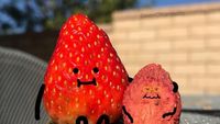 Lucu Banget! Begini Buah-buahan Kalau Foto Bareng Kakek dan Neneknya