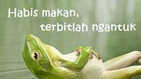 Kumpulan Meme Lucu Ini Ingatkan Agar Jangan Kalap Berbuka Puasa