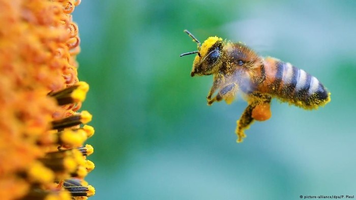 Foto: iStock Foto: iStock
