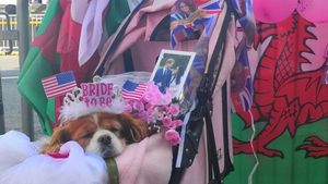 Foto: Camilla, Anjing yang Ikut Bersolek di Nikahan Harry-Meghan
