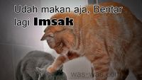 Jangan Telat Tidur, 10 Meme Ini Gambarkan Perjuangan Bangun Sahur