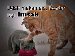 Jangan Telat Tidur, 10 Meme Ini Gambarkan Perjuangan Bangun Sahur