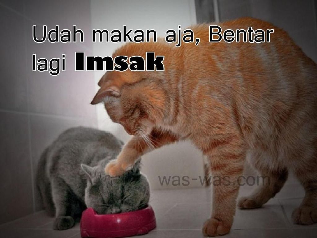 Jangan Telat Tidur, 10 Meme Ini Gambarkan Perjuangan Bangun Sahur Jangan Telat Tidur, 10 Meme Ini Gambarkan Perjuangan Bangun Sahur