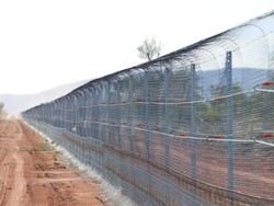 Pagar Terpanjang di Dunia untuk Batasi Kucing Liar