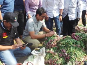 Datang ke Brebes, Sandiaga Pastikan Bawang Merah Tersedia
