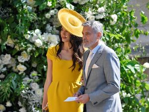 George Clooney Sudah Keluar RS, Harus Jalani Fisioterapi George Clooney Sudah Keluar RS, Harus Jalani Fisioterapi