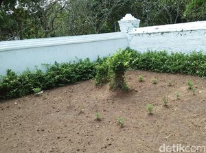 Namanya Sangat Tenar, Seperti Ini Kondisi Makam Sunan Bonang Namanya Sangat Tenar, Seperti Ini Kondisi Makam Sunan Bonang