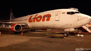 Ungkapan Duka Selebriti Atas Jatuhnya Lion Air