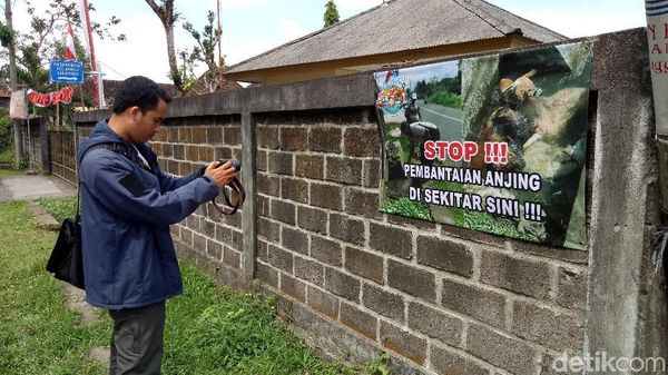 Ini Selokan Tempat Eksekusi Anjing di Bangli