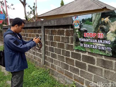Ini Selokan Tempat Eksekusi Anjing di Bangli
