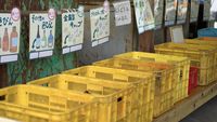 Foto: Desa di Jepang yang Bikin 45 Kategori Tempat Sampah