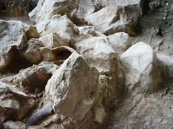 Penemuan Kerangka Manusia 3.000 Tahun di Aceh, Ada Periuk Bekal Kubur