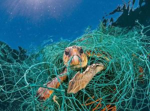 Potret Mengerikan Alam Tercemar Sampah Plastik Potret Mengerikan Alam Tercemar Sampah Plastik