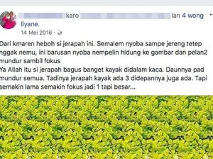 Heboh di FB, Banyak yang Frustrasi Mencari Jerapah di Gambar Ini