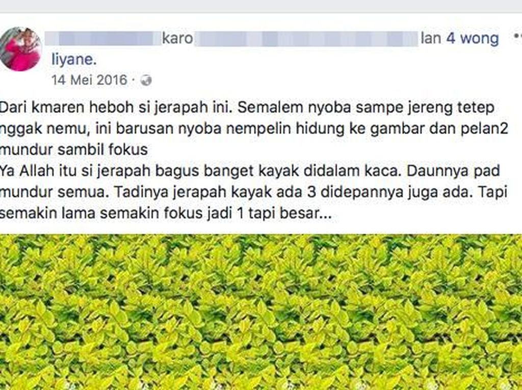 Heboh di FB, Banyak yang Frustrasi Mencari Jerapah di Gambar Ini Heboh di FB, Banyak yang Frustrasi Mencari Jerapah di Gambar Ini