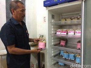 Stok Darah Kosong, PMI Ciamis akan Datangi Masjid Usai Tarawih