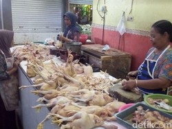Harga Daging Ayam di Lamongan Tembus Rp 70 Ribu/Kg