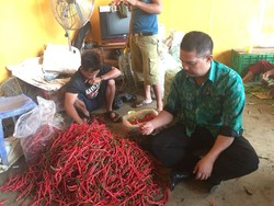 Produksi Komoditas Hortikultura Naik, Pemerintah Tak Lagi Impor