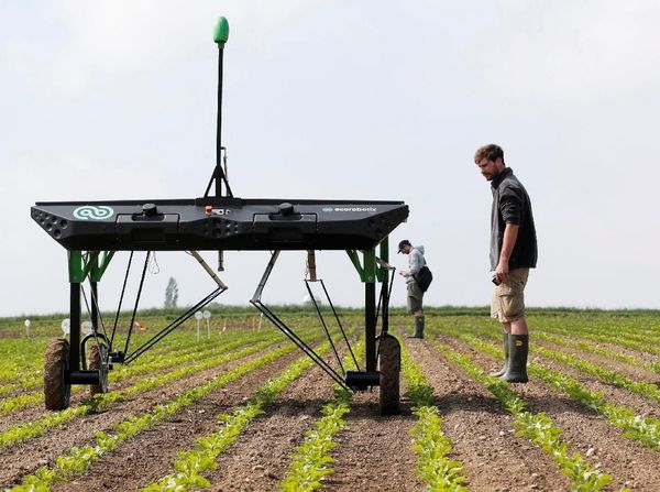 Keren! Robot Ini Diciptakan untuk Bantu Para Petani