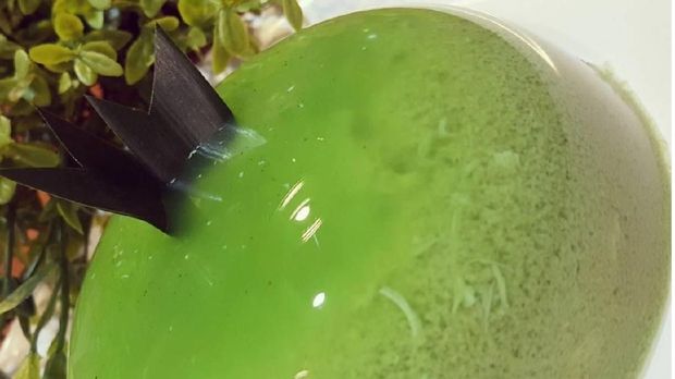 Puding lumut