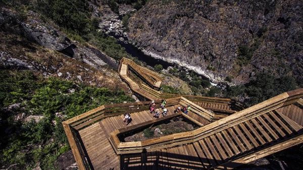Foto: Jalan Setapak Kayu yang Ekstrem Banget!