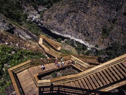 Jalan Kayu yang Esktrem ke Puncak Bukit di Portugal