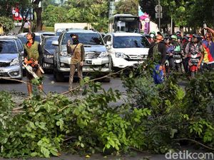 Penebangan Pohon Macetkan Jalan Asia Afrika Senayan