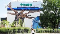 Melihat Karya Seniman Jerman di Festival Mural Berlin 2018
