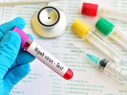 Virus Nipah yang Menyerang Otak Sudah Tewaskan 15 Orang di India