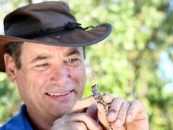 Ilmuwan Australia Ini Dijuluki Manusia Semut