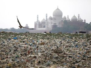 Potret Miris Keindahan Taj Mahal Dikepung Sampah