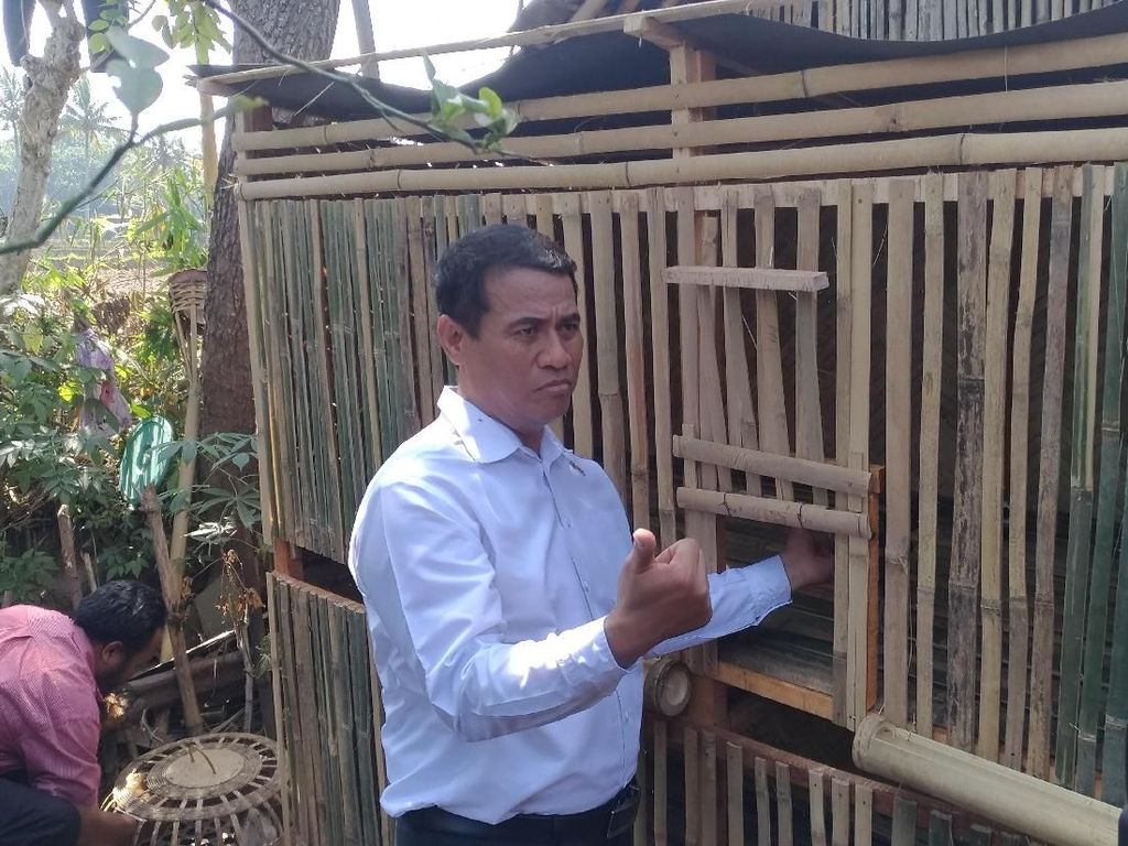 Di Jember, Mentan Bagi-bagi Tips Pelihara Ayam Di Jember, Mentan Bagi-bagi Tips Pelihara Ayam
