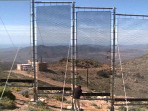 Maroko Menyulap Kabut Jadi Air