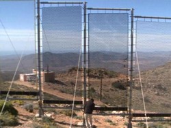 Maroko Menyulap Kabut Jadi Air