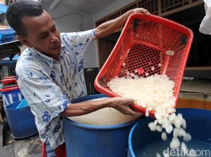 Benarkah Kolang Kaling Baik untuk Persendian?