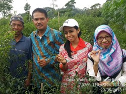 Pasar Lelang Beri Kesempatan Petani Dapatkan Harga Tertinggi