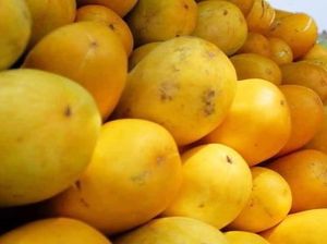 5 Tips Memilih Timun Suri yang Renyah dan Juicy